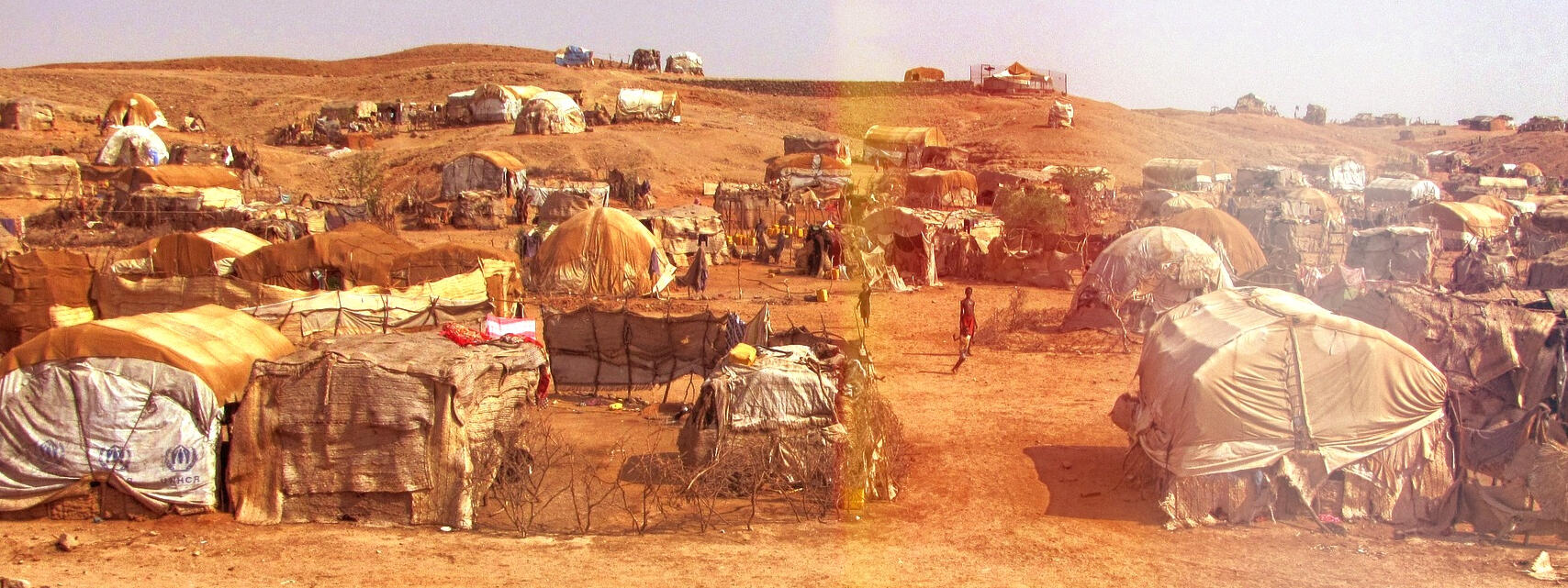 Bosque sumergido - Tierra 2050